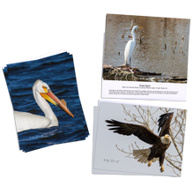 Load image into Gallery viewer, Lake View Wildlife Series
